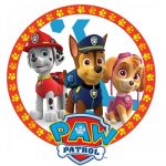 produse paw patrol